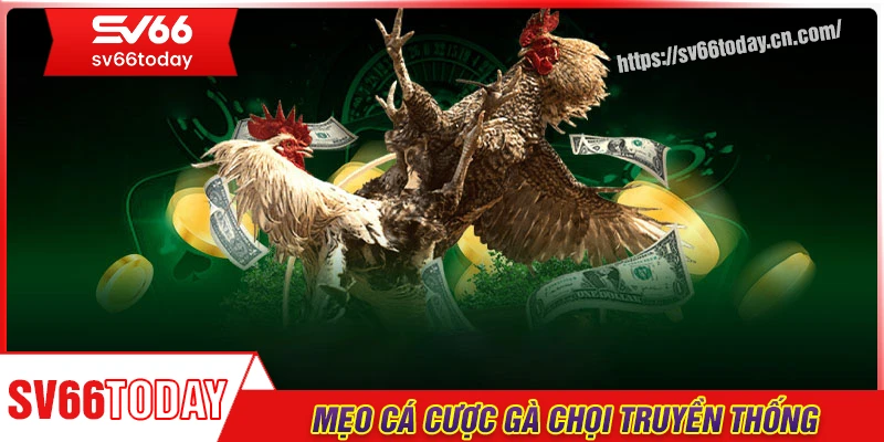 Kinh nghiệm cá cược đá gà chọi truyền thống từ cao thủ