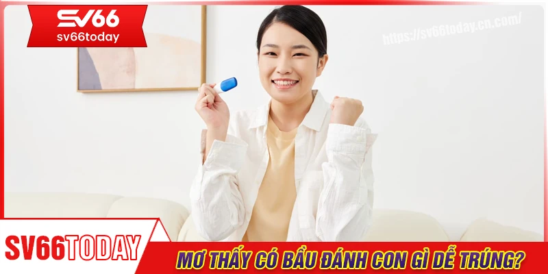 Nằm mơ thấy có bầu đánh con gì trúng lớn?