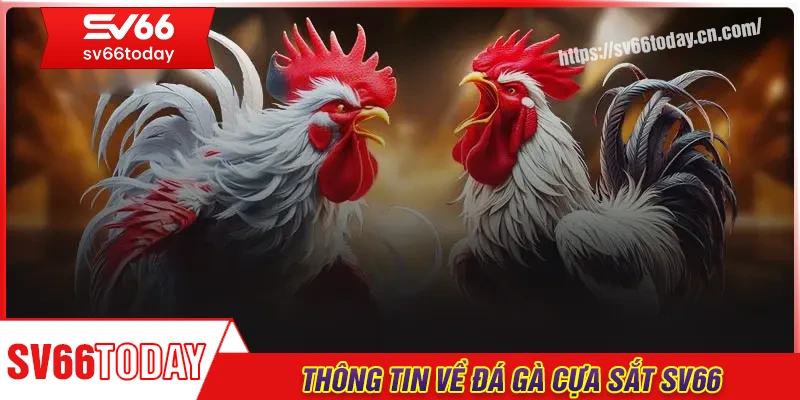 Thông tin chung về đá gà cựa sắt