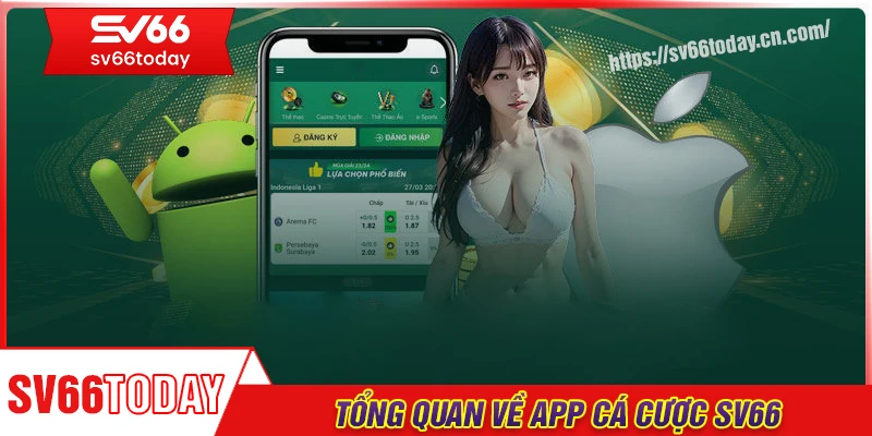 Tổng quan về app cá cược Sv66