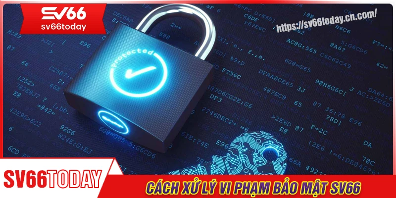 Xử lý hành vi vi phạm đến chính sách bảo mật Sv66